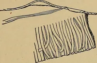 An illustration from Home mission handicraft; ideas for work and play in mission bands and junior societies (1908)