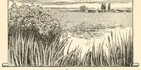 Picture 4 of 11 from Home plays, a collection of new, simple, and effective plays for boys and girls, (1911), leaf 46