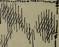 An illustration from Home and school sewing (1901)
