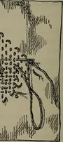 An illustration from Home and school sewing (1901)