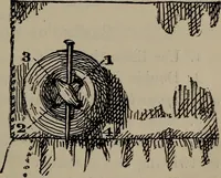 An illustration from Home and school sewing (1901)