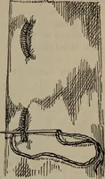 An illustration from Home and school sewing (1901)