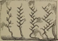 An illustration from Home and school sewing (1901)