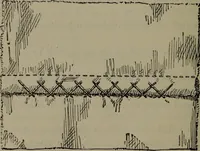 An illustration from Home and school sewing (1901)