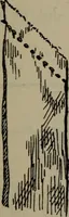 An illustration from Home and school sewing (1901)