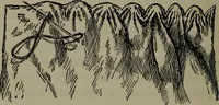 An illustration from Home and school sewing (1901)