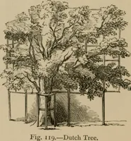 Picture 109 of 122 from Homes, haunts, and works of Rubens, Vandyke, Rembrandt, and Cuyp; the Dutch genre-painters; Michael Angelo and Raffaelle. Being a series of art-rambles in Belgium, Holland and Italy (1872), leaf 243