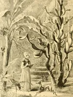 Picture 104 of 104 from The homes of America : with one hundred and three illustrations (1879), leaf 257