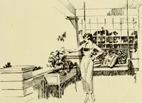 An illustration from Homes of character. (1920)