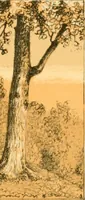 An illustration from The homes of our forefathers. Being a selection of the oldest and most interesting historical houses, and noted places in Maine, New Hampshire and Vermont (1886)