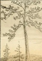 An illustration from The homes of our forefathers. Being a selection of the oldest and most interesting buildings, historical houses, and noted places in Massachusetts. From original drawings made on the spot by Edwin Whitefield (1880)