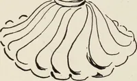 An illustration from Homes and their decoration (1903)