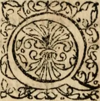 An illustration from Homiliae ... in historiam Domini resvrectionis, ex Gallicis Latinae factae (1593)