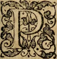 An illustration from Homiliae ... in historiam Domini resvrectionis, ex Gallicis Latinae factae (1593)