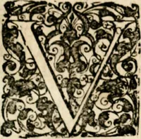 An illustration from Homo et ejus partes figuratus & symbolicus, anatomicus, rationalis, moralis, mysticus, politicus, & legalis : collectus et explicatus cum figuris, symbolis, anatomiis, factis, emblematicus, moralibus, mysticis, proverbiis, hieroglyphicis, prodigiis, simulacris, statuis, historiis, ritibus, observationibus, moribus, numismatibus, dedicationibus, signaturis, significationibus literarum, epithetis, fabulis, miris, physiognomicis, & somniis ; reflexionibus et declarationibus tam ex sacris quàm profanis auctoribus desumptis (1695)