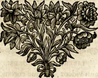 An illustration from Homo et ejus partes figuratus & symbolicus, anatomicus, rationalis, moralis, mysticus, politicus, & legalis : collectus et explicatus cum figuris, symbolis, anatomiis, factis, emblematicus, moralibus, mysticis, proverbiis, hieroglyphicis, prodigiis, simulacris, statuis, historiis, ritibus, observationibus, moribus, numismatibus, dedicationibus, signaturis, significationibus literarum, epithetis, fabulis, miris, physiognomicis, & somniis ; reflexionibus et declarationibus tam ex sacris quàm profanis auctoribus desumptis (1695)