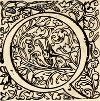 An illustration from Homo et ejus partes figuratus & symbolicus, anatomicus, rationalis, moralis, mysticus, politicus, & legalis : collectus et explicatus cum figuris, symbolis, anatomiis, factis, emblematicus, moralibus, mysticis, proverbiis, hieroglyphicis, prodigiis, simulacris, statuis, historiis, ritibus, observationibus, moribus, numismatibus, dedicationibus, signaturis, significationibus literarum, epithetis, fabulis, miris, physiognomicis, & somniis ; reflexionibus et declarationibus tam ex sacris quàm profanis auctoribus desumptis (1695)