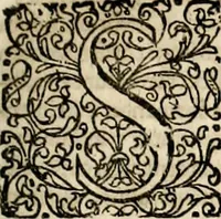 An illustration from Homo et ejus partes figuratus & symbolicus, anatomicus, rationalis, moralis, mysticus, politicus, & legalis : collectus et explicatus cum figuris, symbolis, anatomiis, factis, emblematicus, moralibus, mysticis, proverbiis, hieroglyphicis, prodigiis, simulacris, statuis, historiis, ritibus, observationibus, moribus, numismatibus, dedicationibus, signaturis, significationibus literarum, epithetis, fabulis, miris, physiognomicis, & somniis ; reflexionibus et declarationibus tam ex sacris quàm profanis auctoribus desumptis (1695)