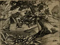 An illustration from Homo microcosmus, hoc est: parvus mundus, macrocosmo, id est: magno mundo, in variis æri incisis figuris totq; carminibus Latinis, per selectiores veterum poëtarum fabulas, nec non elegantiores quasdam historias, emblematice expositus; cujus hæc editio tertia. In qua Latina ista carmina puris rhythmis, Germanicis sunt donata ... Opus, non solùm ad studiosæ juventutis, sed etiam pictorum, sculptorum ... usum et delectationem adornatum (1670)