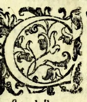 An illustration from Honesta schiava : comedia (1601)