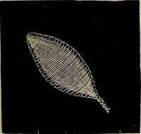 An illustration from The Honiton lace book (1875)