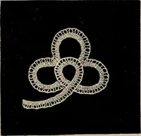 An illustration from The Honiton lace book (1875)