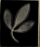 An illustration from The Honiton lace book (1875)