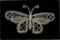 An illustration from The Honiton lace book (1875)