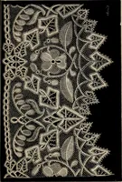 An illustration from The Honiton lace book (1875)