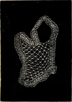An illustration from The Honiton lace book (1875)