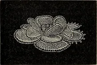 An illustration from The Honiton lace book (1875)