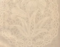 An illustration from The Honiton lace book (1875)