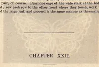 Picture 3 of 3 from The Honiton lace book (1875), leaf 61