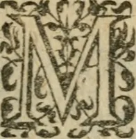 An illustration from Honnevr fvnebre a l'hevrevse memoire de la Madame la princesse de Conty (1602)