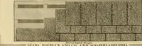 An illustration from Honor bilt modern homes. (1921)