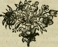 An illustration from Horapollinis Hieroglyphica graece & latine : cum integris observationibus & notis Joann. Merceri & David. Hoeschelii, et selectis Nicolai Caussini (1727)