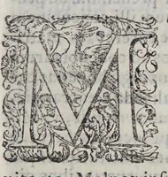 An illustration from Horatii Tursellini e Societate Iesu De vita Francisci Xauerii qui primus e Societate Iesu in Indiam & Iaponiam euangelium inuexit. Libri sex. (1596)