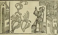 Picture 9 of 13 from Horatij Flacci Venusini. Poete lirici Opera : cu[m] quibusdam annotatio[n]ib[us]. Imaginibusq[ue] pulcherrimis. aptisq[ue] ad Odaru[m] concentus & sententias, leaf 205