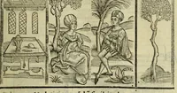 Picture 5 of 13 from Horatij Flacci Venusini. Poete lirici Opera : cu[m] quibusdam annotatio[n]ib[us]. Imaginibusq[ue] pulcherrimis. aptisq[ue] ad Odaru[m] concentus & sententias, leaf 77