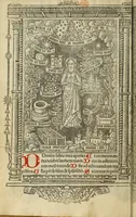 Picture 5 of 6 from Hore dive [vir]ginis Marie : s[e]c[un]d[u]m veru[m] vsum romanu[m], cum aliis multis folio sequenti notatis, vna cum figuris apocalipsis post figuras Biblie recenter insertis (1505), leaf 166