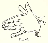 An illustration from Horns of honour, and other studies in the by-ways of archaeology (1900)