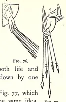 Picture 18 of 36 from Horns of honour, and other studies in the by-ways of archaeology (1900), leaf 179