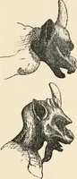Picture 48 of 134 from Horns of honour : and other studies in the by-ways of archaeology (1900), leaf 149
