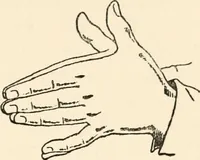 An illustration from Horns of honour : and other studies in the by-ways of archaeology (1900)