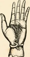 An illustration from Horns of honour : and other studies in the by-ways of archaeology (1900)
