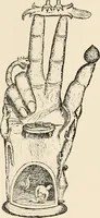 Picture 89 of 134 from Horns of honour : and other studies in the by-ways of archaeology (1900), leaf 249