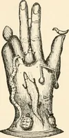 Picture 100 of 134 from Horns of honour : and other studies in the by-ways of archaeology (1900), leaf 266