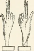 Picture 107 of 134 from Horns of honour : and other studies in the by-ways of archaeology (1900), leaf 275