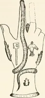 Picture 109 of 134 from Horns of honour : and other studies in the by-ways of archaeology (1900), leaf 276