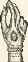 Picture 112 of 134 from Horns of honour : and other studies in the by-ways of archaeology (1900), leaf 278